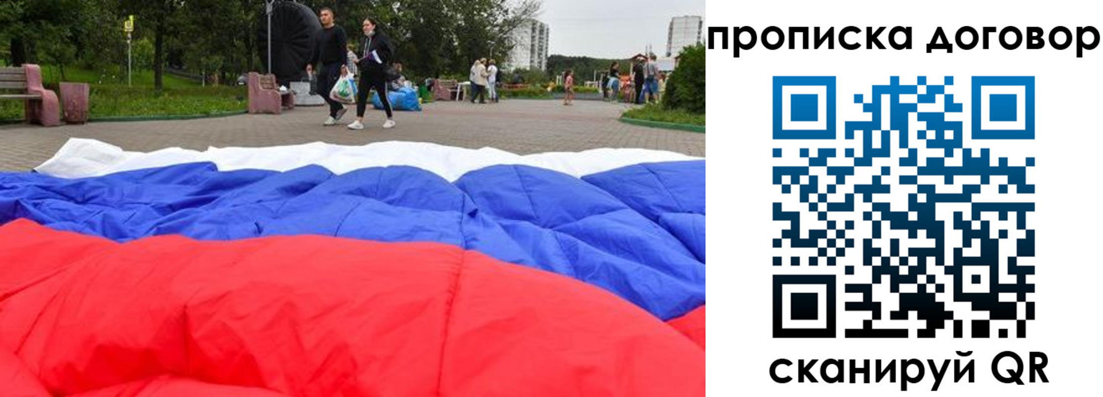 прописка поиск в Димитровграде